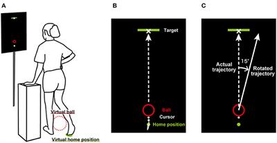 Visuomotor Adaptation of Lower Extremity Movements During Virtual Ball-Kicking Task